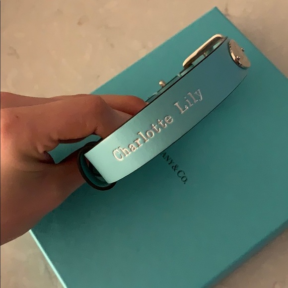 tiffany & co dog collar